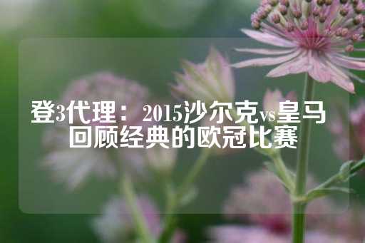 登3代理：2015沙尔克vs皇马 回顾经典的欧冠比赛