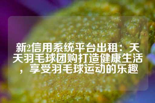 新2信用系统平台出租：天天羽毛球团购打造健康生活，享受羽毛球运动的乐趣-第1张图片-皇冠信用盘出租