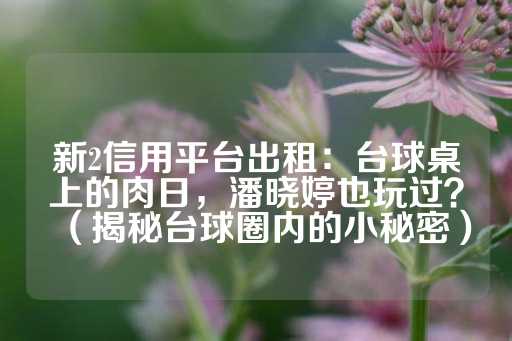 新2信用平台出租：台球桌上的肉日，潘晓婷也玩过？（揭秘台球圈内的小秘密）