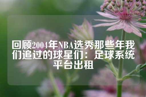 回顾2004年NBA选秀那些年我们追过的球星们：足球系统平台出租-第1张图片-皇冠信用盘出租