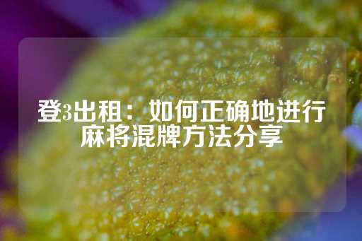 登3出租：如何正确地进行麻将混牌方法分享