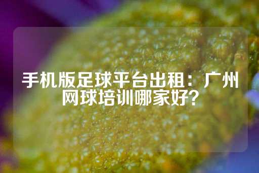 手机版足球平台出租：广州网球培训哪家好？