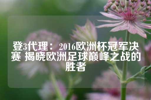 登3代理：2016欧洲杯冠军决赛 揭晓欧洲足球巅峰之战的胜者-第1张图片-皇冠信用盘出租