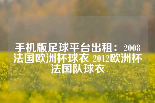 手机版足球平台出租：2008法国欧洲杯球衣 2012欧洲杯法国队球衣-第1张图片-皇冠信用盘出租