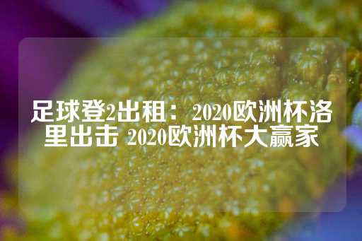 足球登2出租：2020欧洲杯洛里出击 2020欧洲杯大赢家