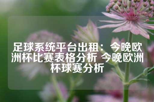 足球系统平台出租：今晚欧洲杯比赛表格分析 今晚欧洲杯球赛分析