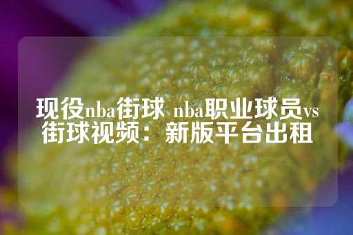 现役nba街球 nba职业球员vs街球视频：新版平台出租