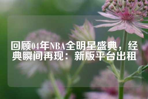 回顾04年NBA全明星盛典，经典瞬间再现：新版平台出租-第1张图片-皇冠信用盘出租