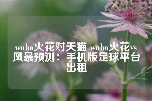 wnba火花对天猫 wnba火花vs风暴预测：手机版足球平台出租-第1张图片-皇冠信用盘出租