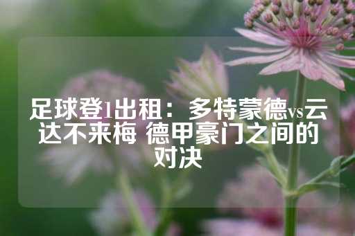 足球登1出租：多特蒙德vs云达不来梅 德甲豪门之间的对决