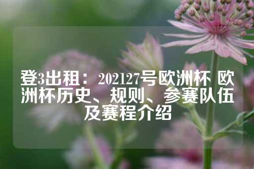 登3出租：202127号欧洲杯 欧洲杯历史、规则、参赛队伍及赛程介绍