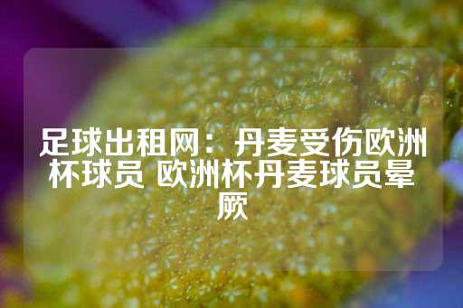 足球出租网：丹麦受伤欧洲杯球员 欧洲杯丹麦球员晕厥