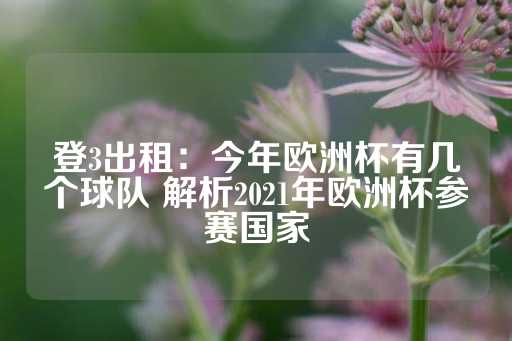 登3出租：今年欧洲杯有几个球队 解析2021年欧洲杯参赛国家-第1张图片-皇冠信用盘出租