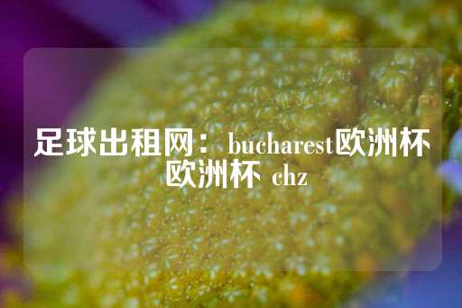 足球出租网：bucharest欧洲杯 欧洲杯 chz