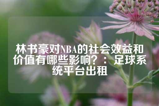 林书豪对NBA的社会效益和价值有哪些影响？：足球系统平台出租