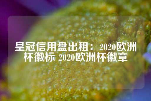 皇冠信用盘出租：2020欧洲杯徽标 2020欧洲杯徽章