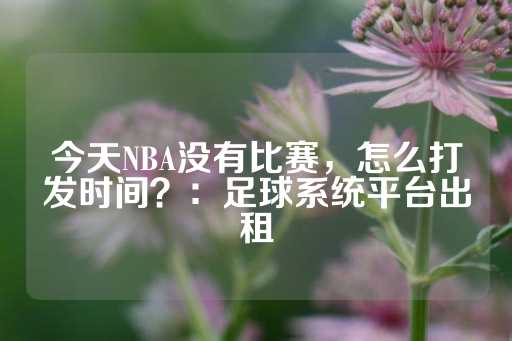 今天NBA没有比赛，怎么打发时间？：足球系统平台出租-第1张图片-皇冠信用盘出租