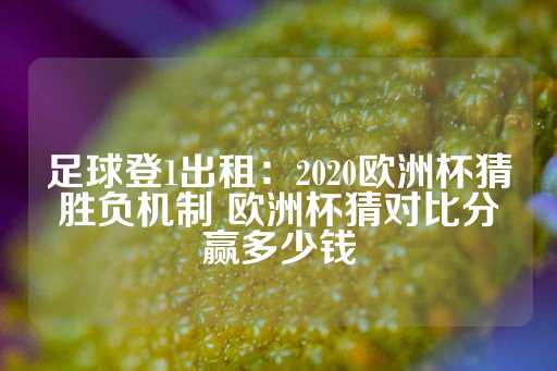 足球登1出租：2020欧洲杯猜胜负机制 欧洲杯猜对比分赢多少钱