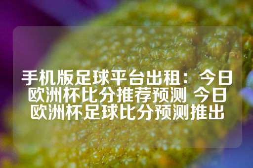 手机版足球平台出租：今日欧洲杯比分推荐预测 今日欧洲杯足球比分预测推出