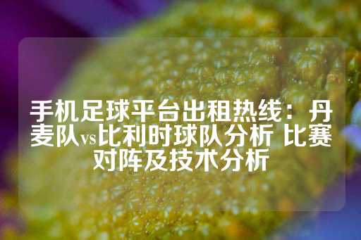 手机足球平台出租热线：丹麦队vs比利时球队分析 比赛对阵及技术分析