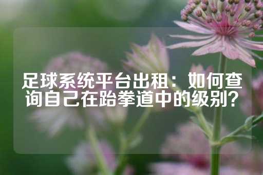 足球系统平台出租：如何查询自己在跆拳道中的级别？-第1张图片-皇冠信用盘出租