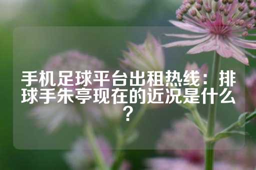 手机足球平台出租热线：排球手朱亭现在的近况是什么？