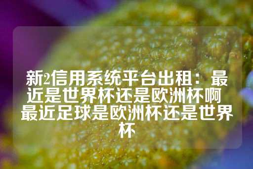 新2信用系统平台出租：最近是世界杯还是欧洲杯啊 最近足球是欧洲杯还是世界杯