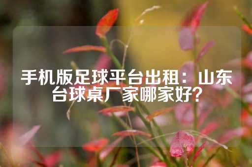 手机版足球平台出租：山东台球桌厂家哪家好？-第1张图片-皇冠信用盘出租