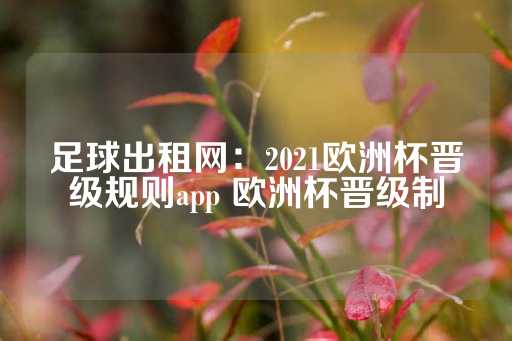 足球出租网：2021欧洲杯晋级规则app 欧洲杯晋级制