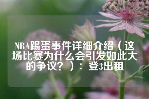 NBA踢蛋事件详细介绍（这场比赛为什么会引发如此大的争议？）：登3出租-第1张图片-皇冠信用盘出租