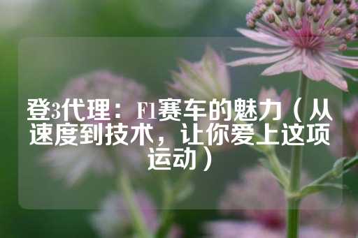 登3代理：F1赛车的魅力（从速度到技术，让你爱上这项运动）-第1张图片-皇冠信用盘出租