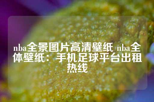 nba全景图片高清壁纸 nba全体壁纸：手机足球平台出租热线