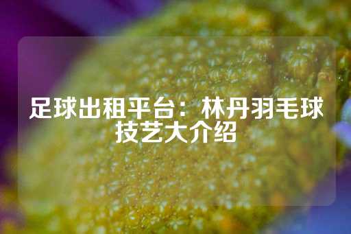 足球出租平台：林丹羽毛球技艺大介绍