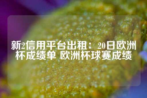 新2信用平台出租：20日欧洲杯成绩单 欧洲杯球赛成绩