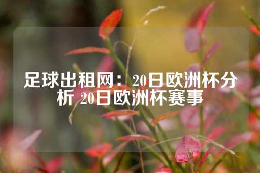 足球出租网：20日欧洲杯分析 20日欧洲杯赛事