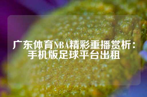 广东体育NBA精彩重播赏析：手机版足球平台出租-第1张图片-皇冠信用盘出租