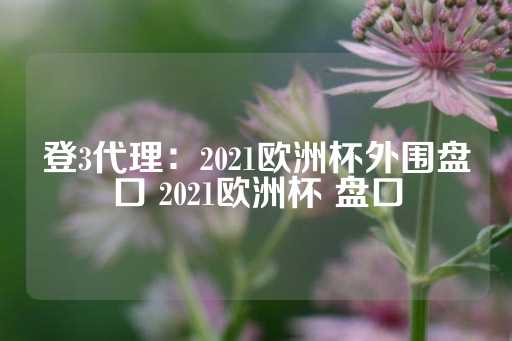 登3代理：2021欧洲杯外围盘口 2021欧洲杯 盘口-第1张图片-皇冠信用盘出租