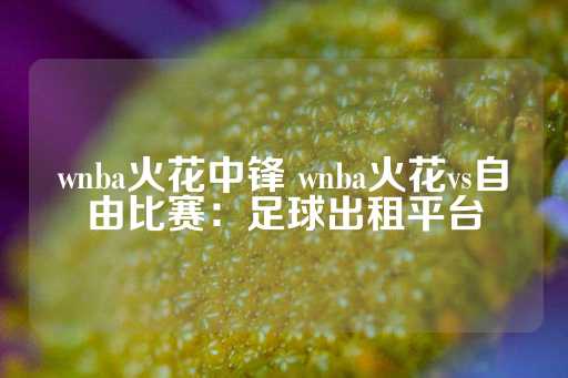 wnba火花中锋 wnba火花vs自由比赛：足球出租平台-第1张图片-皇冠信用盘出租