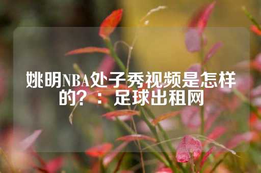 姚明NBA处子秀视频是怎样的？：足球出租网-第1张图片-皇冠信用盘出租