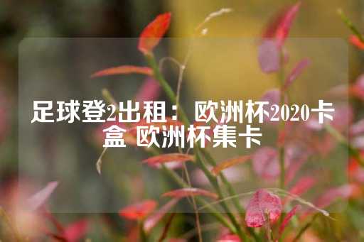 足球登2出租：欧洲杯2020卡盒 欧洲杯集卡