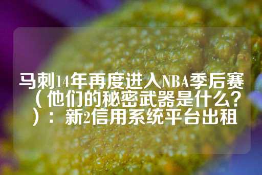 马刺14年再度进入NBA季后赛（他们的秘密武器是什么？）：新2信用系统平台出租