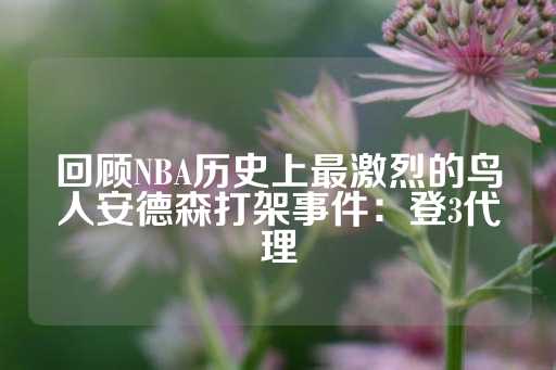 回顾NBA历史上最激烈的鸟人安德森打架事件：登3代理-第1张图片-皇冠信用盘出租