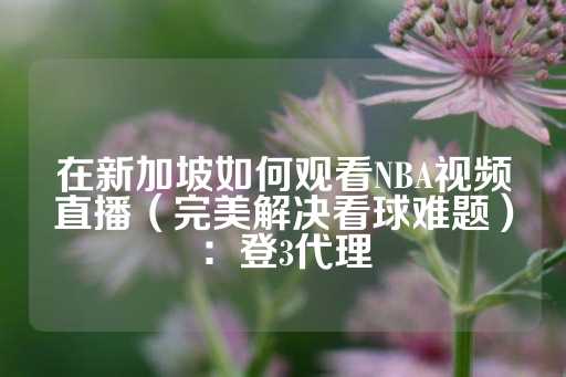 在新加坡如何观看NBA视频直播（完美解决看球难题）：登3代理