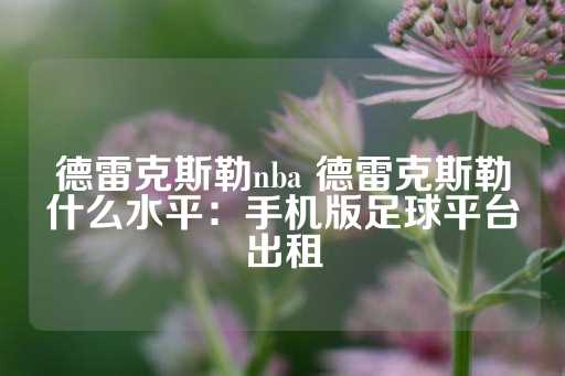 德雷克斯勒nba 德雷克斯勒什么水平：手机版足球平台出租-第1张图片-皇冠信用盘出租