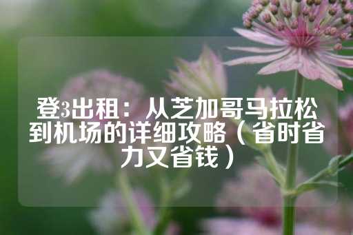 登3出租：从芝加哥马拉松到机场的详细攻略（省时省力又省钱）