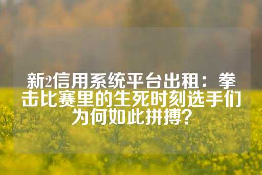 新2信用系统平台出租：拳击比赛里的生死时刻选手们为何如此拼搏？