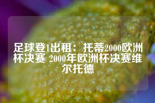 足球登1出租：托蒂2000欧洲杯决赛 2000年欧洲杯决赛维尔托德-第1张图片-皇冠信用盘出租