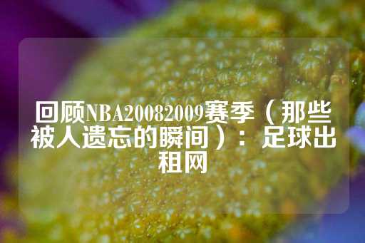 回顾NBA20082009赛季（那些被人遗忘的瞬间）：足球出租网-第1张图片-皇冠信用盘出租