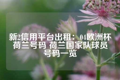 新2信用平台出租：04欧洲杯荷兰号码 荷兰国家队球员号码一览