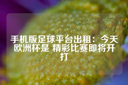 手机版足球平台出租：今天欧洲杯是 精彩比赛即将开打